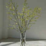 FireShot Capture 119 - 定期お届け便対応ならFlower&Plants tette │ 「手から手へ、想いを運ぶフラワーショップ」【板橋駅徒歩4分】【熟練フロ_ - [tette-flower.jp]